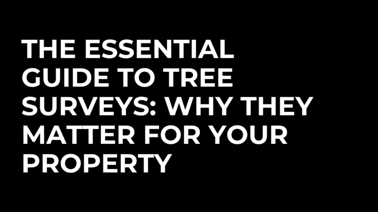The Essential Guide To Tree Surveys: Why They Matter For Your Property