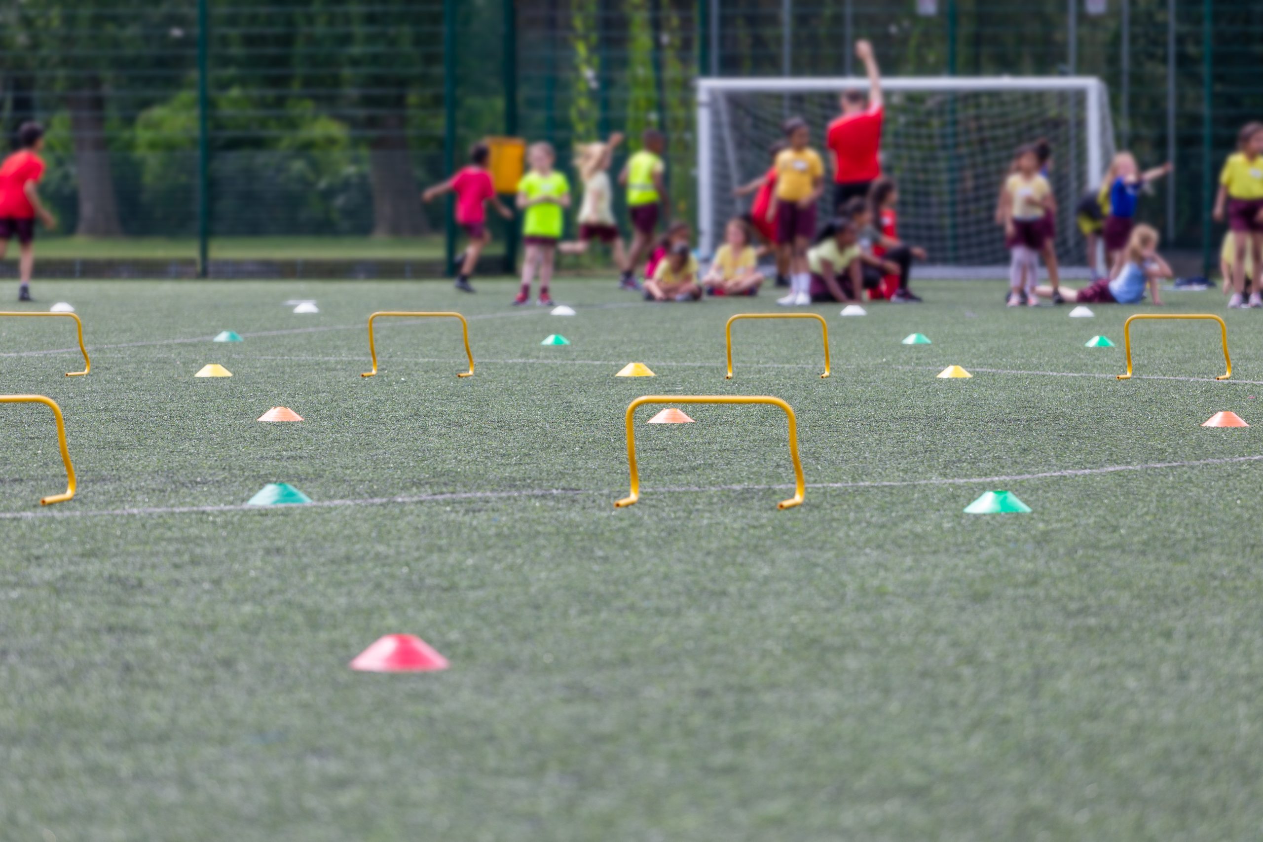 Sports & Leisure surveying